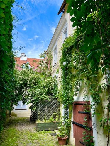 Luxury Suites in the Heart of Medieval Tallinn Old Town, Tallin (foto 4)