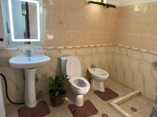 Guest House Tirana - image 5