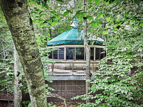 Escape to Tree House Island Life