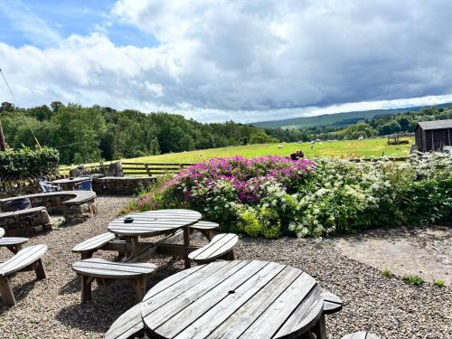 Garden, Hollybush Inn in Greenhaugh