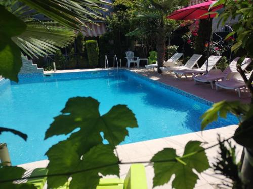 Lile Pestani Accommodation in Peshtani