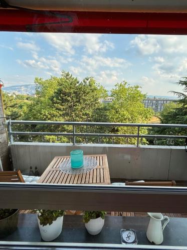 Cozy Room with view of Mt Jura, Ginevra (foto 5)