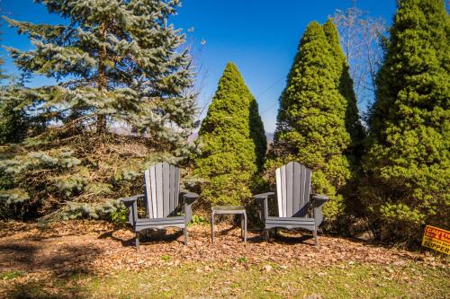 Cabin with amazing long-range mountain views, hot tub, fire pit, EV connection, Boone (zdjęcie 10)