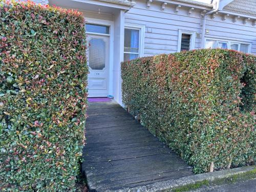 One Bedroom Villa Spacious Room,Amazing Location All Perks, Auckland (Foto 7)
