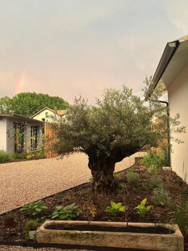 DACSE-VILLAGE - Gite 01 - Location saisonnière - Dax