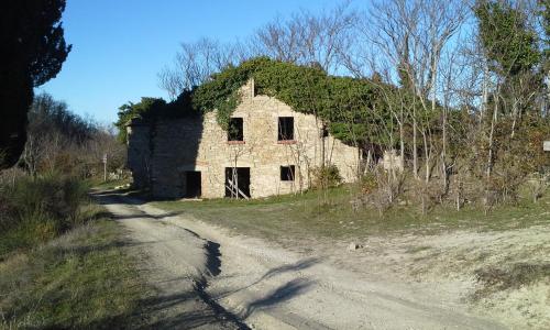 Agriturismo al Monte