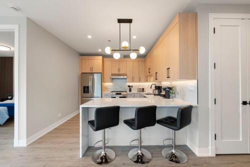 New Build in Pilsen Spacious 2 Bed 2 Bath Unit in University Village