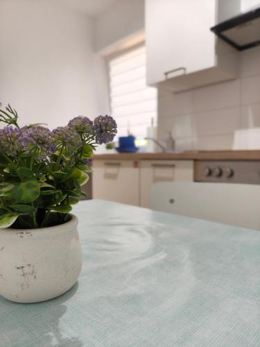 ห้องครัว, Ferienapartment am Dorfteich in เทรบบิน