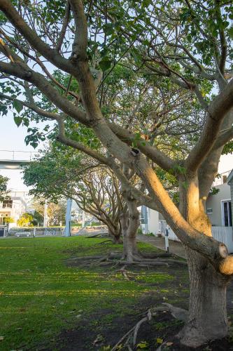 Thesen Island Romance