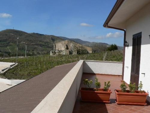 Il Noce Antico 2