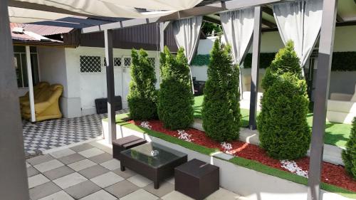 Private house, Vaslui (foto 9)