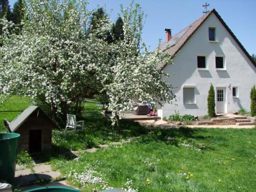 Wonderworld in Alfdorf, Deutschland