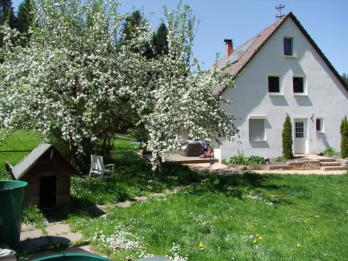 B&B Alfdorf - Wonderworld - Bed and Breakfast Alfdorf