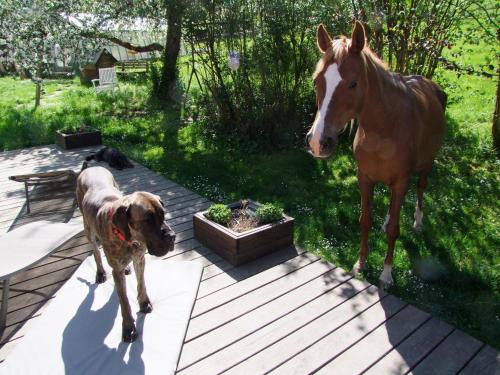Kert, Wonderworld in Schwabisch Gmund