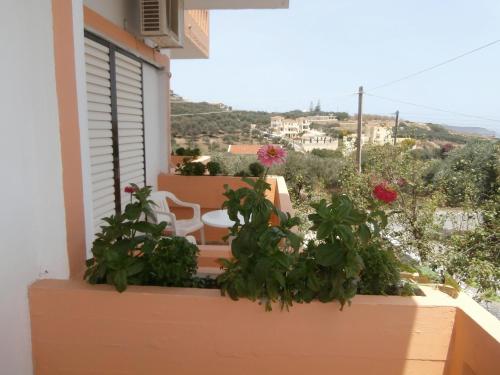 View, Pentari in Nea Kidonia