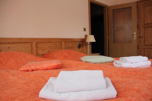 Wellness hotel Harrachovka - image 13