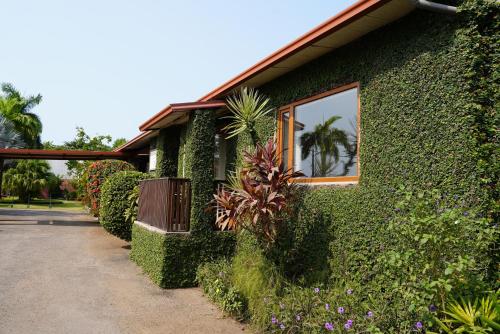 Entrada, Emoyeni Gardens in São Tomé