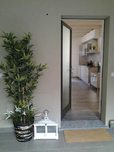 Como Via Carcano 13 - image 8