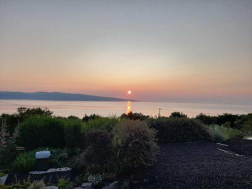 สวน, Lost in Thyme in เฟเตรา