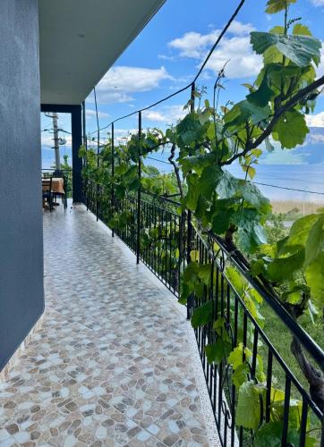 Gjoli Lake View 2BR Apt with Stunning Lake Views in 拉比諾特-富舍