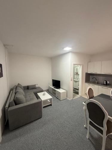 Renoviran i novo namješten Apartman