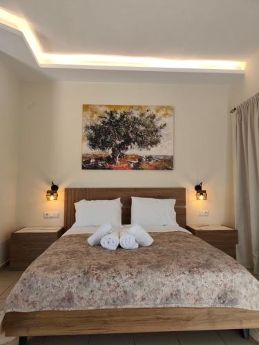Vassiliki Studios, Ándros (Foto 7)