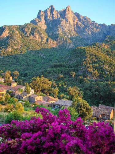 Capo D'orto - Porto - Corse Room Type - Classic Twin or Double Room - Ground Floor