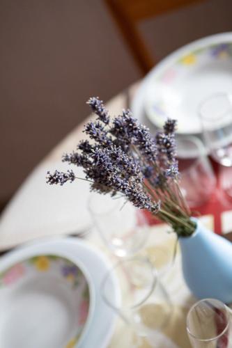 Route des vins d'Alsace - Gewurztraminer in Rouffach