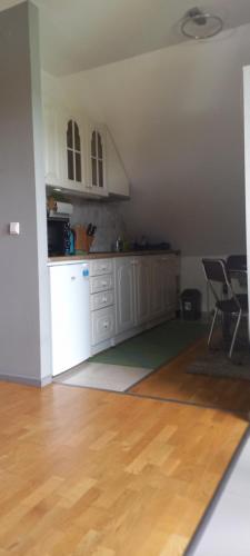 廚房, Apartament w Jeżowie Sudeckim (Apartament w Jezowie Sudeckim) in 扎博布澤