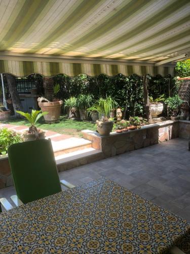 Fregene - Villa Paradise near airport Fiumicino, Fregene (foto 7)