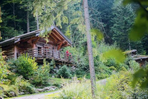 Amour de Chalet - Clairière aux cabanes - Bol d'air (Amour de Chalet - Clairiere aux cabanes - Bol d'air) in La Bresse