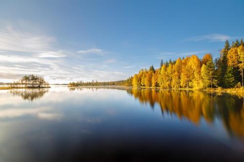 Gustava Parken - 3 persons cottage in Laggasen