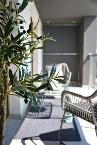 Apartamenty STUDIO R