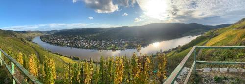 Weinhof Michael Morbach - Zeltingen-Rachtig
