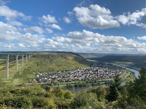Weinhof Michael Morbach - Zeltingen-Rachtig