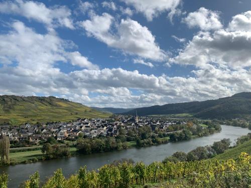 Weinhof Michael Morbach - Zeltingen-Rachtig