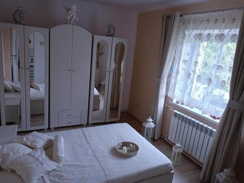 加夫利基·维尔基耶 U Madzi i Arka 2星级 单人房 套房