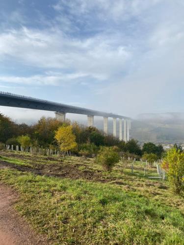 Weinhof Michael Morbach - Zeltingen-Rachtig