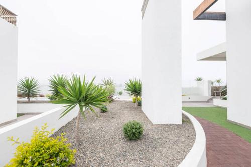 Ocean View Beautiful Aparment