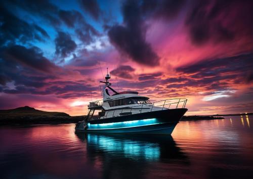 Private Abu Dhabi Island Hopping and Camping