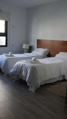 Casa Basilico, Buenos Aires (fotografie 9)