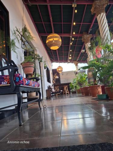 Casaca in Concepción de Ataco