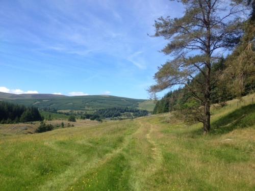 Hearthstanes Steading - image 9