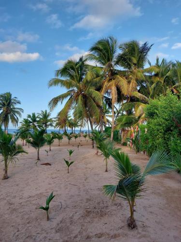 Punta Cana Ecolodge In front of the beach Lavacama Costa Arrecife by BTC Crypto Group in Punta Cana