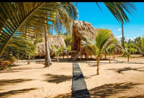 Punta Cana Ecolodge In front of the beach Lavacama Costa Arrecife by BTC Crypto Group in Punta Cana