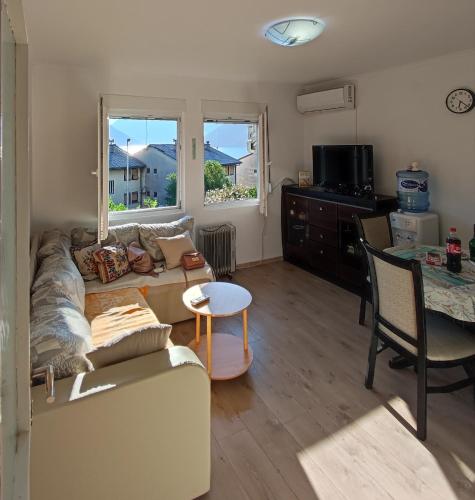 Apartment Pejovic