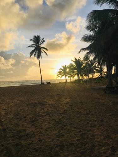Punta Cana Ecolodge In front of the beach Lavacama Costa Arrecife by BTC Crypto Group in Punta Cana