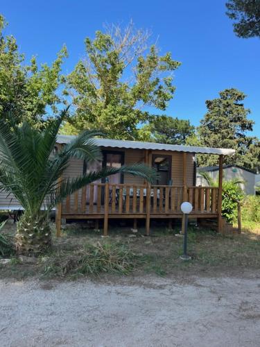 Camping - Argelès-sur-Mer -  - Mobil home 6 personnes à 400m de la mer - Image #0