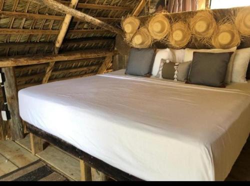 Punta Cana Ecolodge In front of the beach Lavacama Costa Arrecife by BTC Crypto Group in Punta Cana