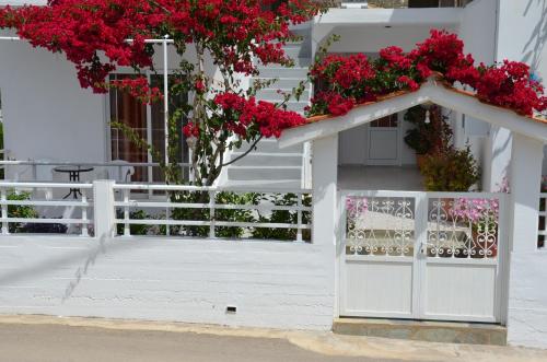  Georgias Rooms in 85002 Livadia